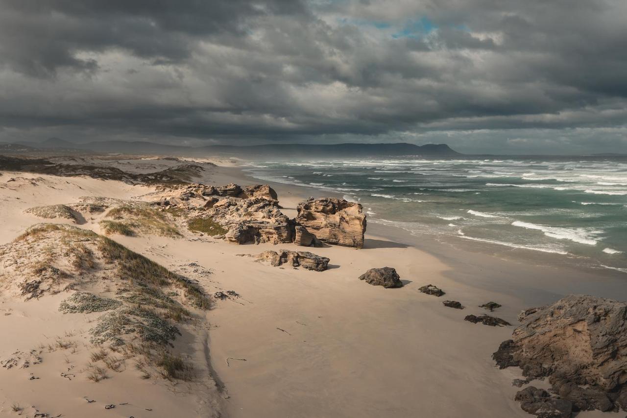 Walker Bay Manor Mansion Pty Otel Hermanus Dış mekan fotoğraf